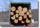 Container of Logs from P.V. International